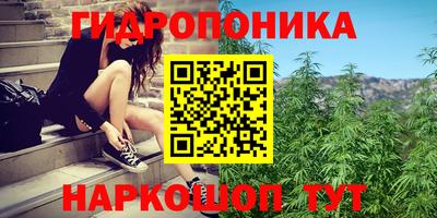 apvp Долгопрудный