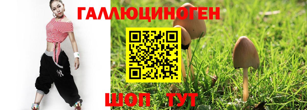 Белореченск  Псилоцибиновые грибы Psilocybine cubensis  Вход с VPN 